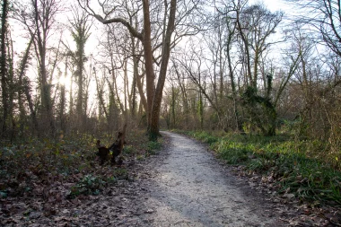 Parc Saint Albe de Gradignan (6).